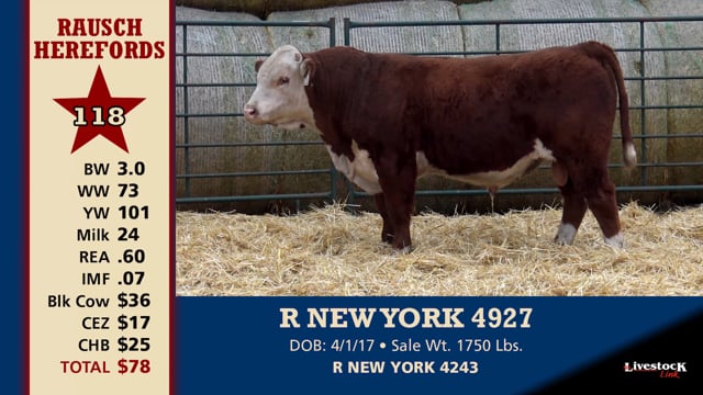 Lot #118 - R NEW YORK 4927