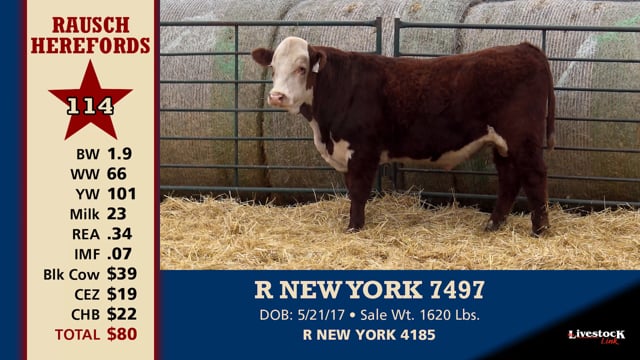 Lot #114 - R NEW YORK 7479