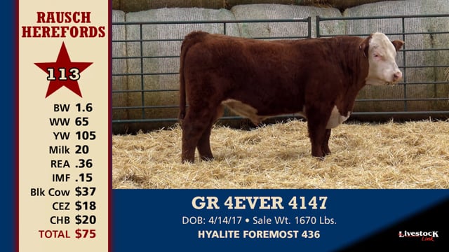 Lot #113 - GR 4EVER 4147