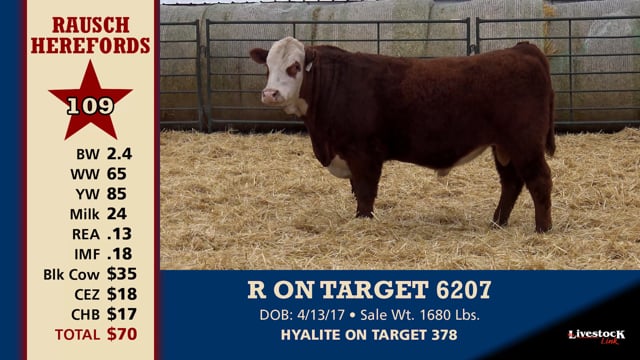 Lot #109 - R ON TARGET 6207