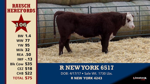 Lot #106 - R NEW YORK 6517