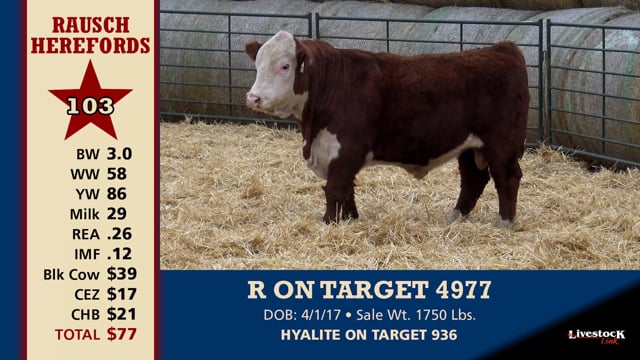Lot #103 - R ON TARGET 4977