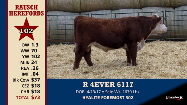 Lot #102 - R 4EVER 6117