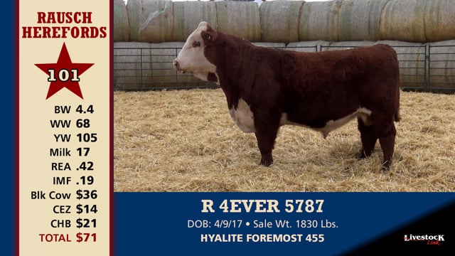 Lot #101 - R 4EVER 5787