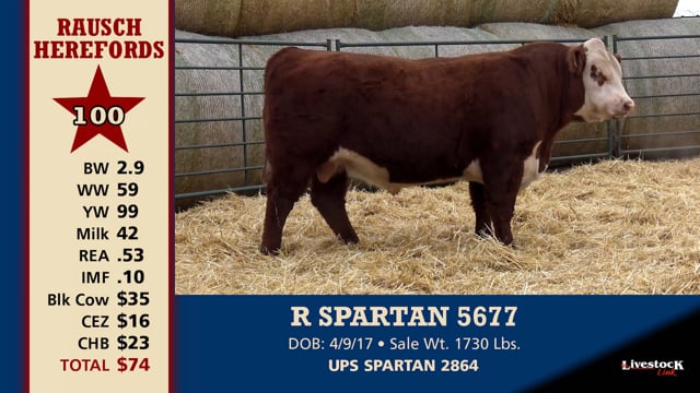 Lot #100 - R SPARTAN 5677