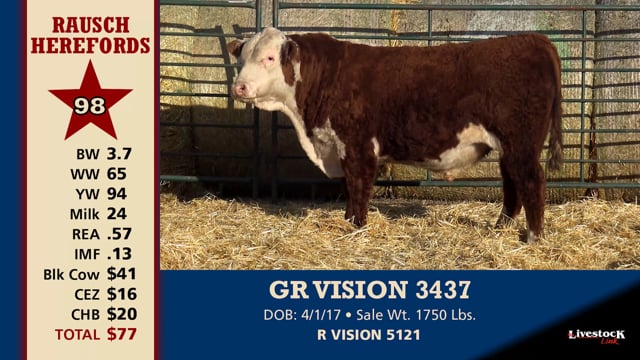 Lot #98 - GR VISION 3437