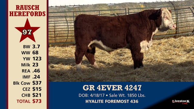 Lot #97 - GR 4EVER 4247