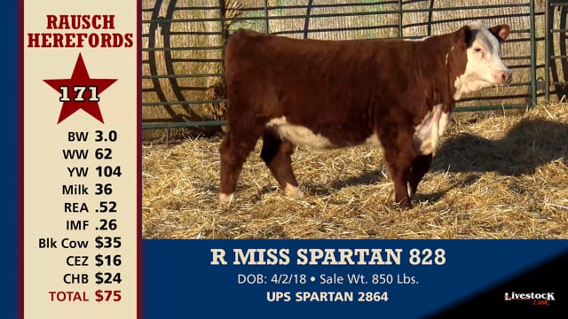Lot #171 - R MISS SPARTAN 828