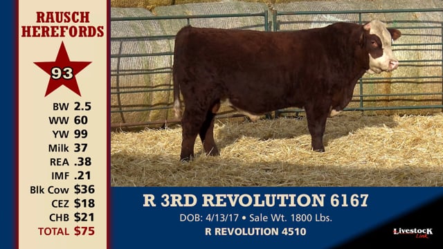 Lot #93 - R 3RD REVOLUTION 6167