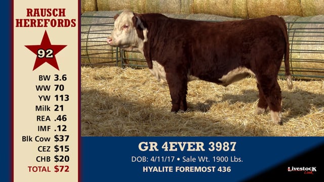 Lot #92 - GR 4EVER 3987