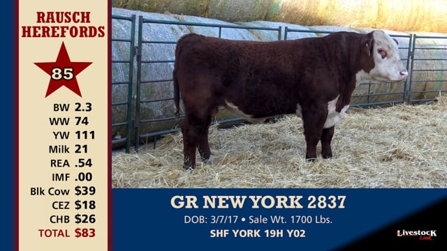 Lot #85 - GR NEW YORK 2837