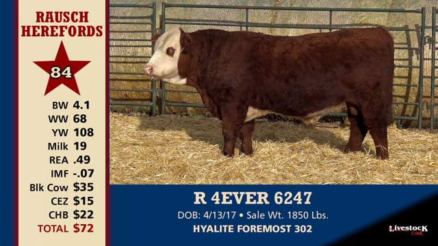 Lot #84 - R 4EVER 6247