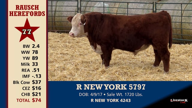 Lot #77 - R NEW YORK 5797