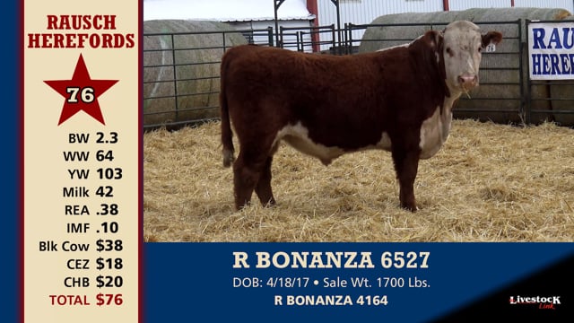 Lot #76 - R BONANZA 6527