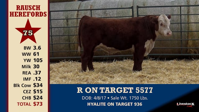 Lot #75 - R ON TARGET 5577