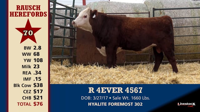 Lot #70 - R 4EVER 4567