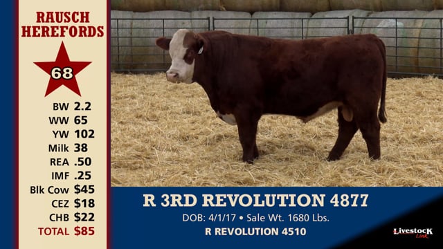 Lot #68 - R 3RD REVOLUTION 4877