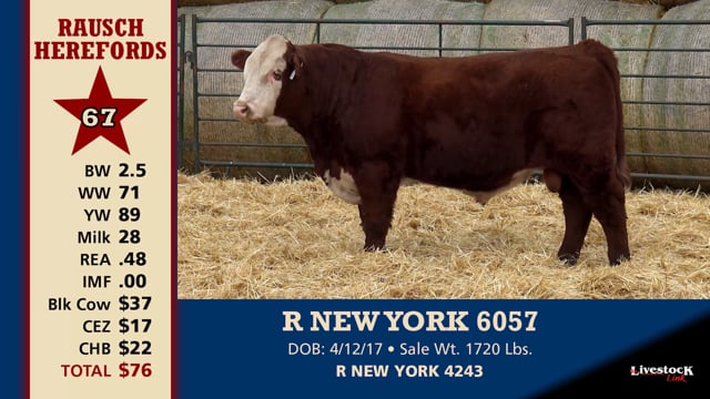 Lot #67 - R NEW YORK 6057