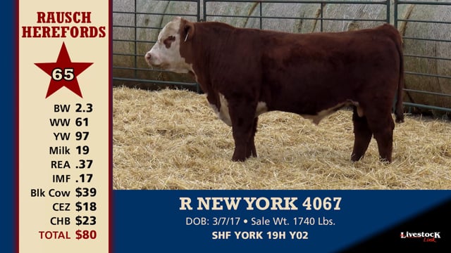 Lot #65 - R NEW YORK 4067