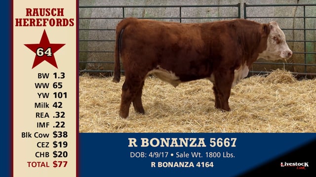 Lot #64 - R BONANZA 5667