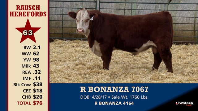 Lot #63 - R BONANZA 7067