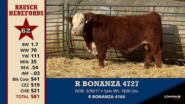 Lot #62 - R BONANZA 4727