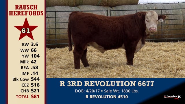 Lot #61 - R 3RD REVOLUTION 6677