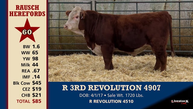 Lot #60 - R 3RD REVOLUTION 4907
