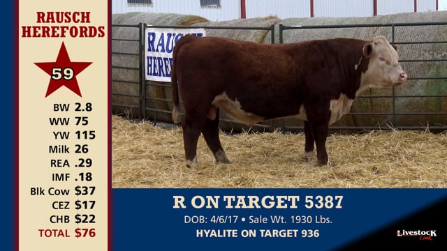 Lot #59 - R ON TARGET 5387