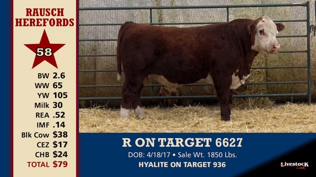 Lot #58 - R ON TARGET 6627