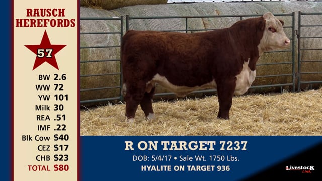 Lot #57 - R ON TARGET 7237
