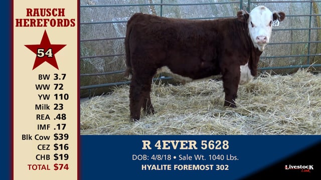 Lot #54 - R 4EVER 5628