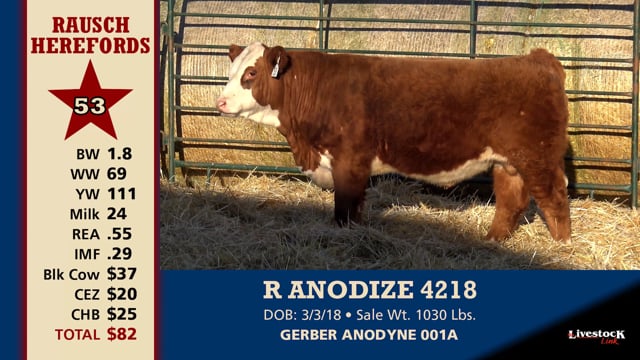 Lot #53 - R ANODIZE 4218