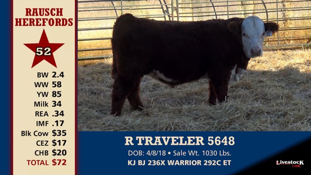 Lot #52 - R TRAVELER 5648