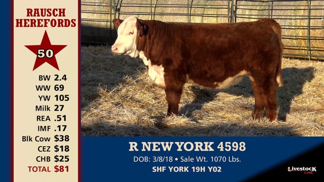 Lot #50 - R NEW YORK 4598