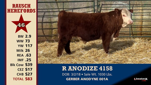 Lot #46 - R ANODIZE 4158