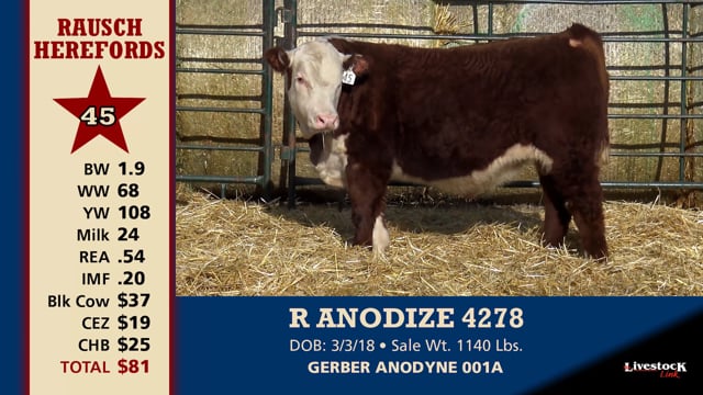Lot #45 - R ANODIZE 4278
