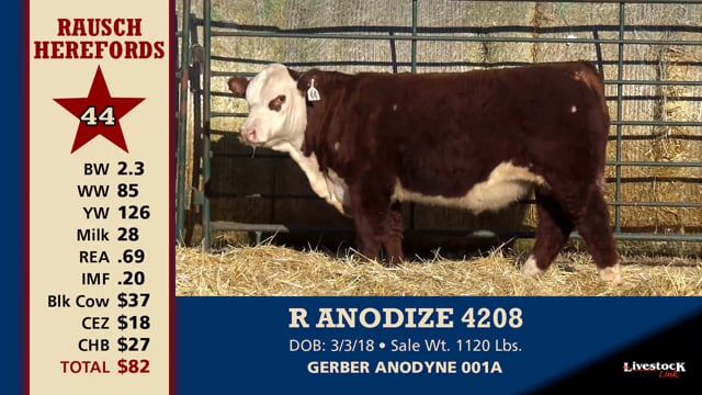 Lot #44 - R ANODIZE 4208