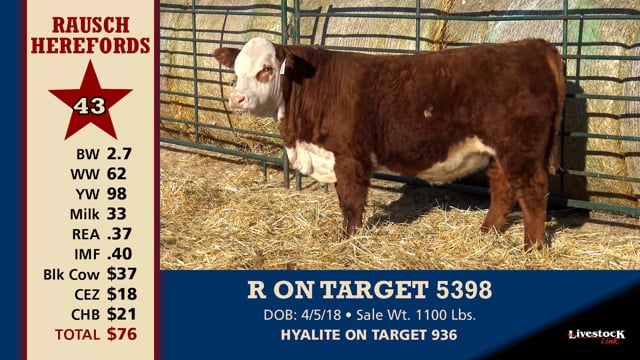 Lot #43 - R ON TARGET 5398