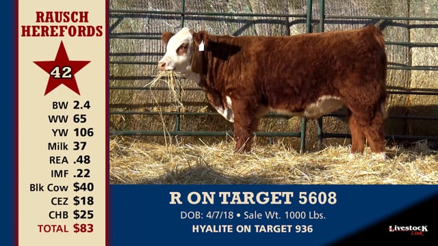 Lot #42 - R ON TARGET 5608