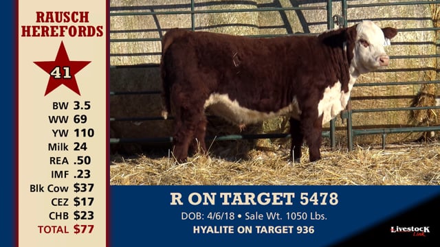 Lot #41 - R ON TARGET 5478