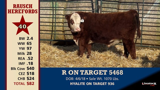 Lot #40 - R ON TARGET 5468