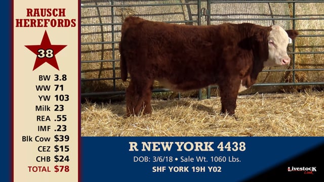 Lot #38 - R NEW YORK 4438