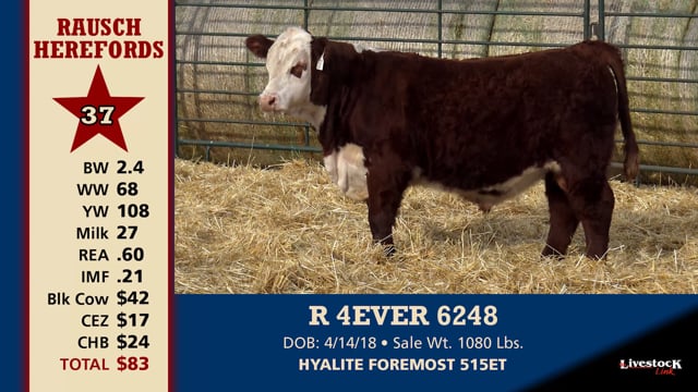 Lot #37 - R 4EVER 6248
