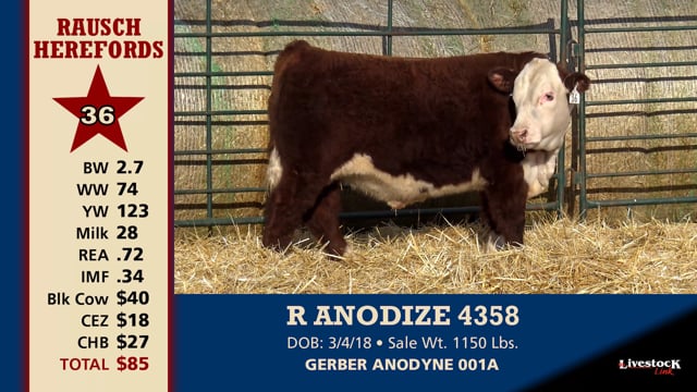 Lot #36 - R ANODIZE 4358