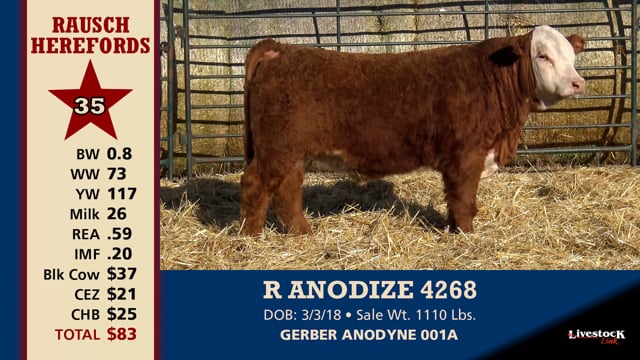 Lot #35 - R ANODIZE 4268