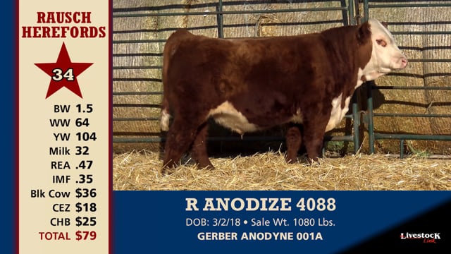 Lot #34 - R ANODIZE 4088