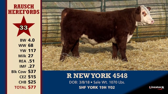 Lot #33 - R NEW YORK 4548
