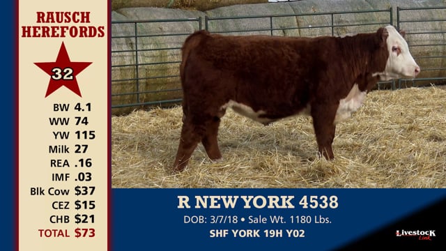 Lot #32 - R NEW YORK 4538