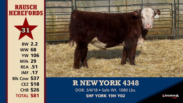 Lot #31 - R NEW YORK 4348